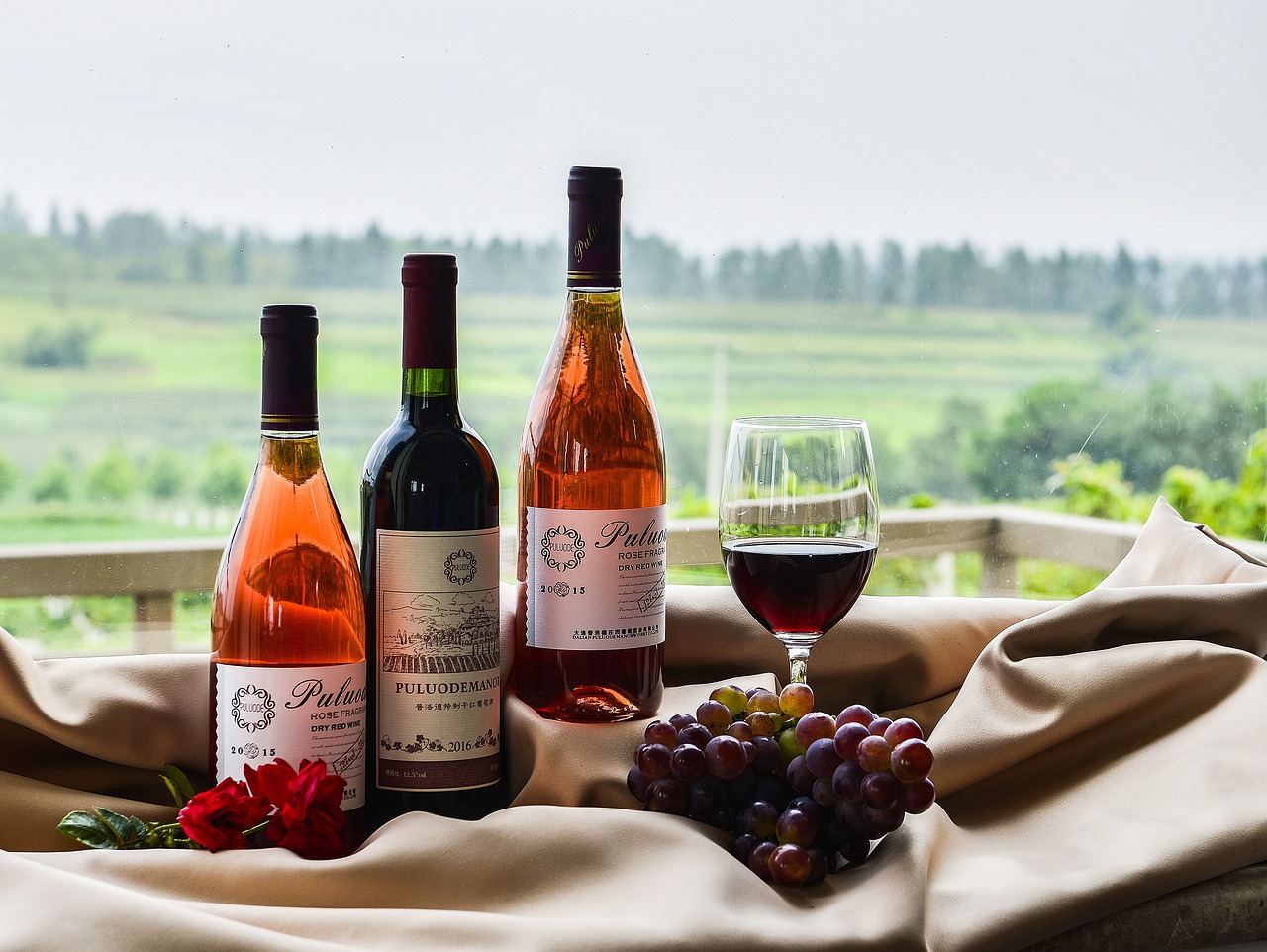 An Evening of Elegance: Exploring Six Remarkable Champagnes and Sparkling Wines